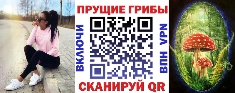 Псилоцибиновые грибы мухоморы  как найти наркотики  Новый Оскол 